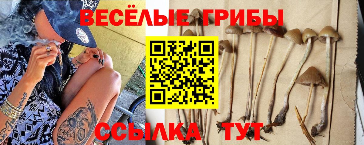 Уссурийск  Галлюциногенные грибы MAGIC MUSHROOMS  Вход с VPN  Галлюциногенные грибы мицелий 